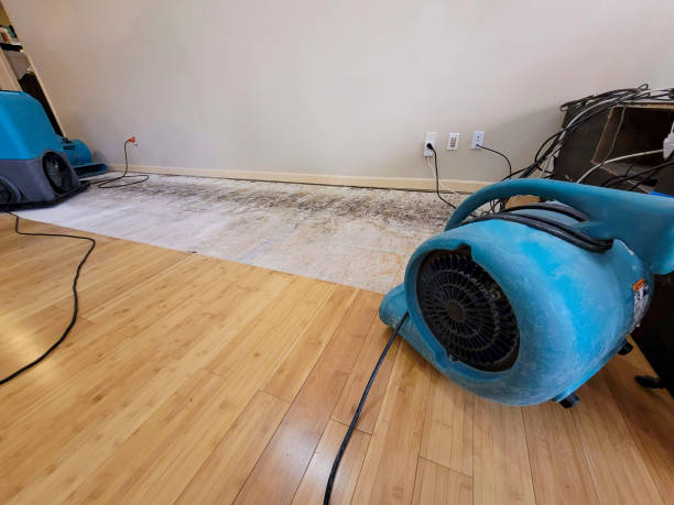 Professional Water Damage Repair technician working in Manor, PA